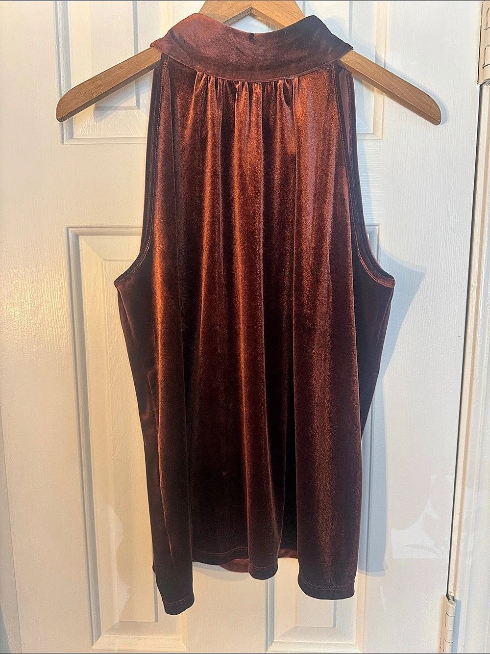Ann Taylor Velvet High Neck Tank Top in Brown Large Like New